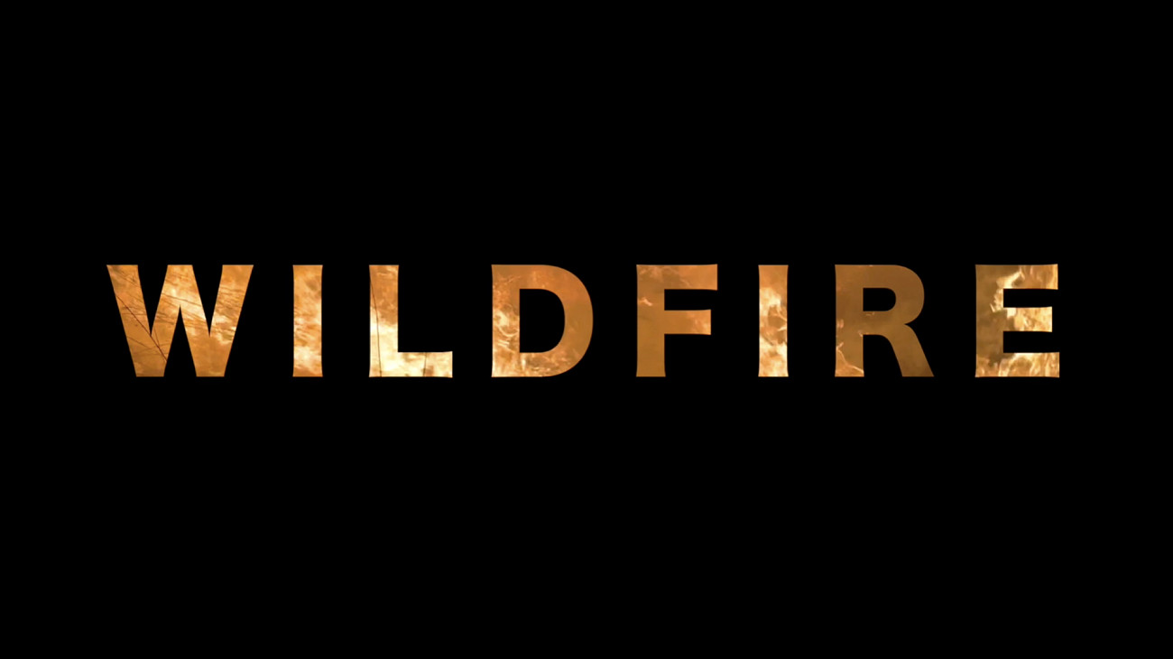 Wildfire